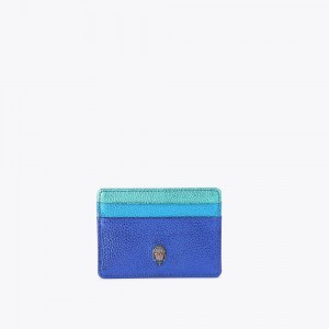 Kurt Geiger Card Holder Colorati | BASQUX-305