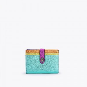 Kurt Geiger Card Holder Colorati | GUSJQD-154