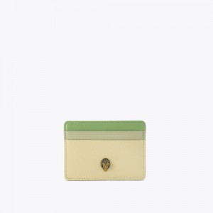 Kurt Geiger Card Holder Verzi | DFEVXK-428