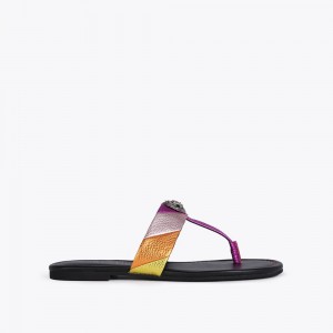 Kurt Geiger Kensington T-Bar Sandal Colorati | PCEWXJ-709