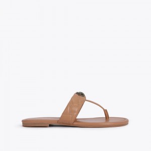 Kurt Geiger Kensington T-Bar Sandal Maro | AIRVLT-405