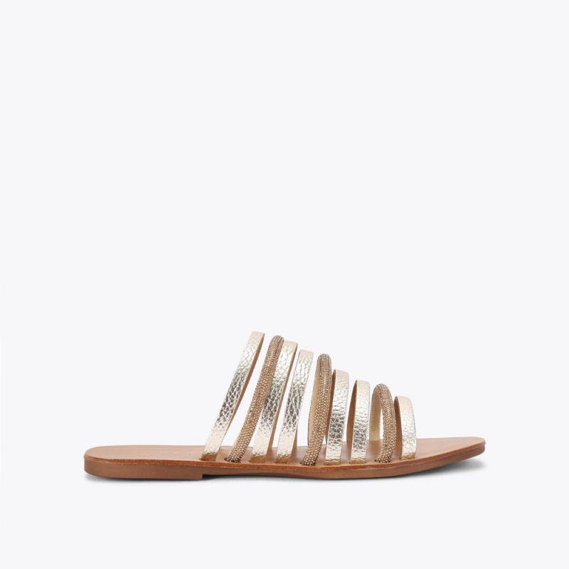 Kurt Geiger Daisy Plati Sandal Argintii | WEBRZD-315