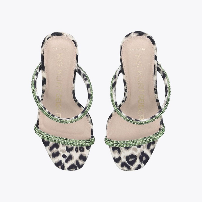 Kurt Geiger Foster Verzi | QRSHLC-823