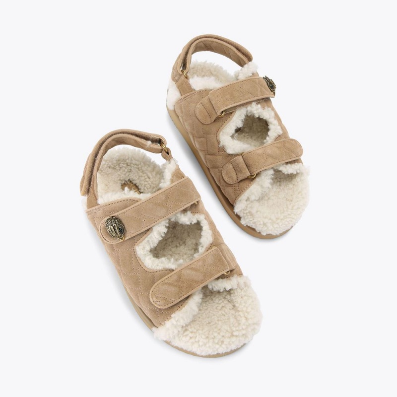 Kurt Geiger Orson Teddy Sandal Maro | JWTPGZ-851