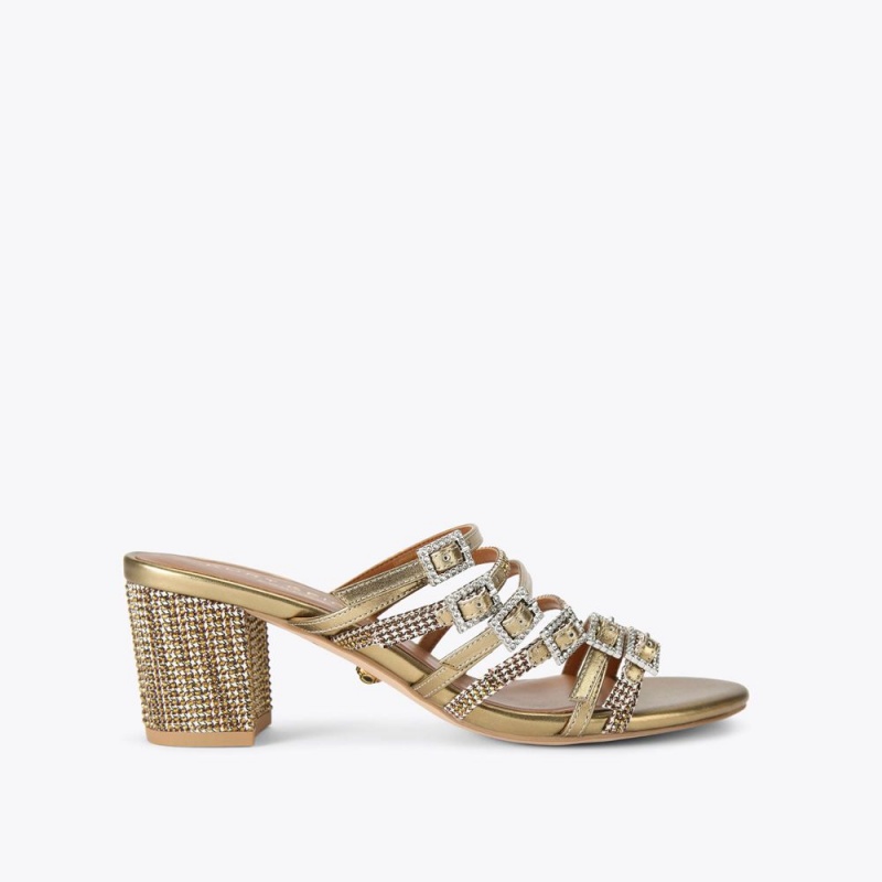 Kurt Geiger Pierra Block Mule Heel Aurii | RXBGMK-160